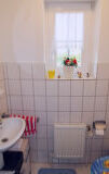 wall, bathroom, sink, indoor, plumbing fixture, bathtub, vase, toilet, tap, mirror
